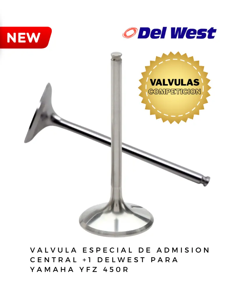 DELWEST COMPETICION (2).webp