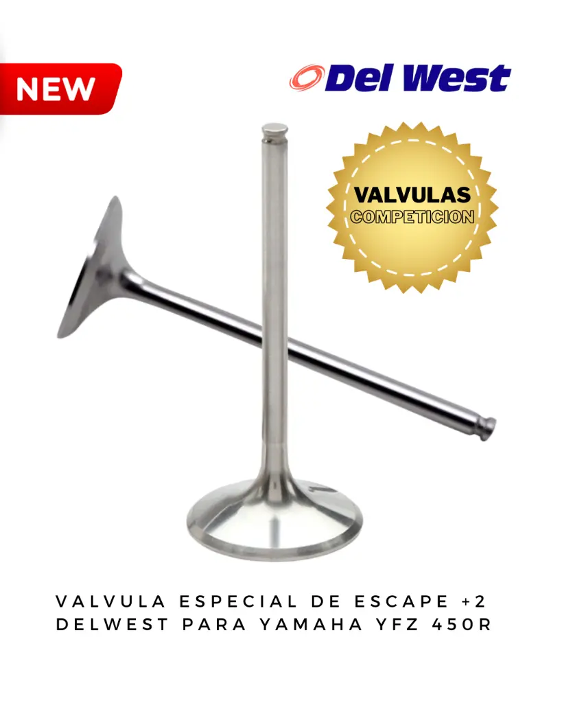 DELWEST COMPETICION (5).webp