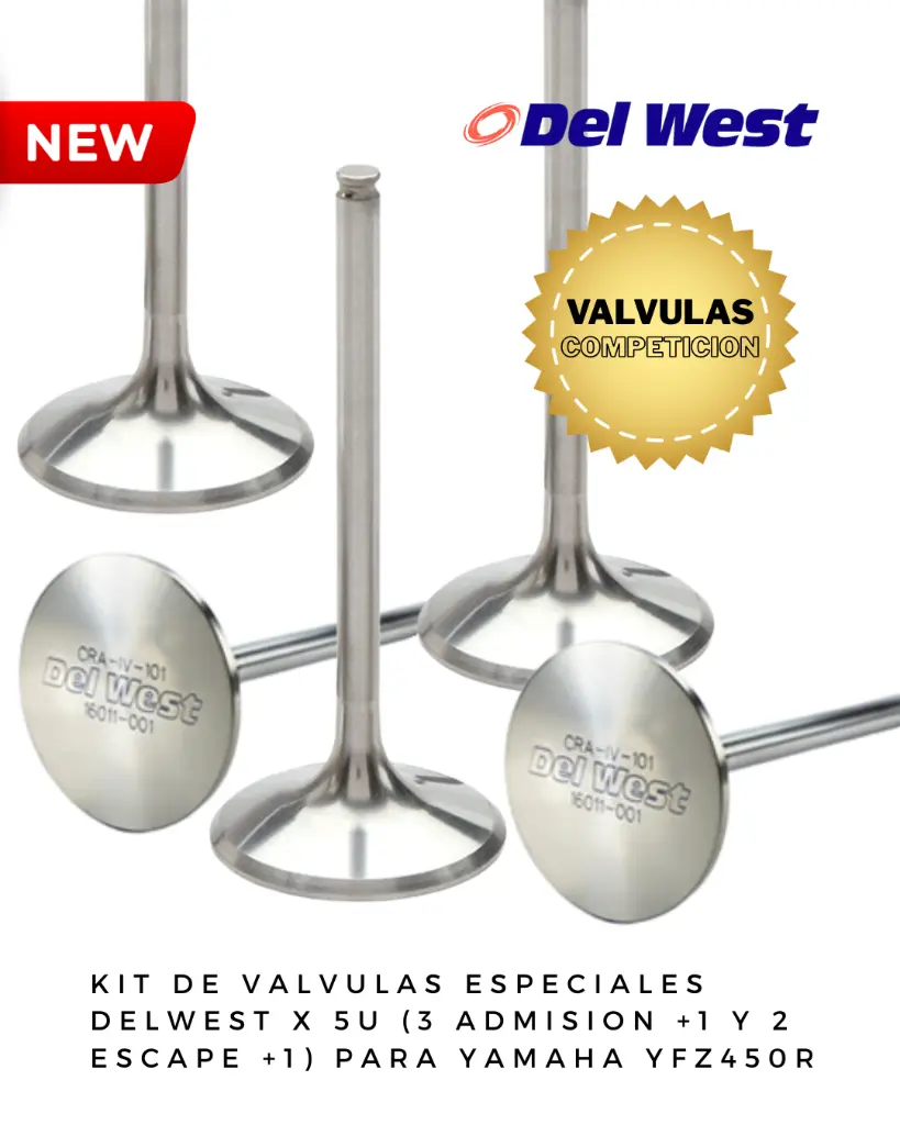 DELWEST COMPETICION (4).webp