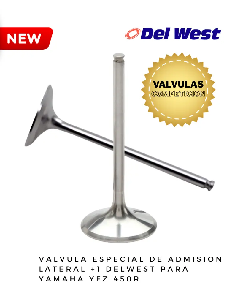 DELWEST COMPETICION (3).webp