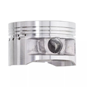 RAPTOR 350 PISTON STD