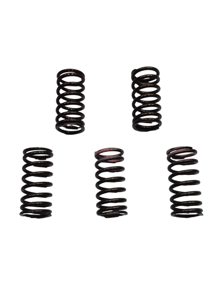 YFZ 450R KIT DE RESORTES DE VALVULAS x 5U 2009-2013