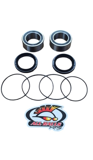 [25-1618] ALL BALLS REPARACION PARA CARRIER ORIGINAL RAPTOR 700