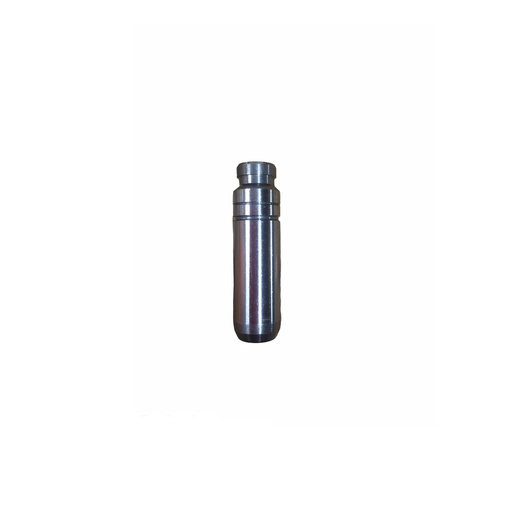 [4G0111331100] *RAPTOR 700 GUIA VALVULA