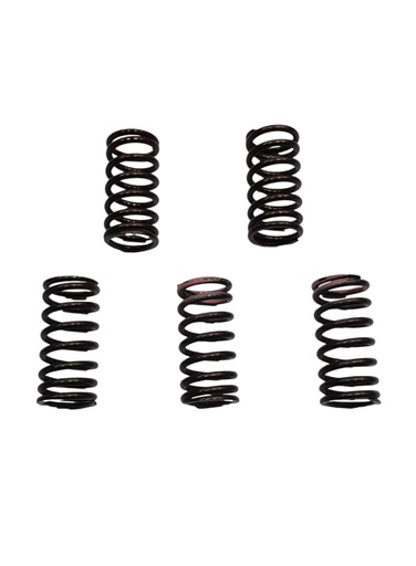 [YFZR-KIT1-RES-5U] YFZ 450R KIT DE RESORTES DE VALVULAS x 5U 2009-2013