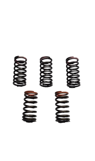 [YFZR-KIT2-RES-5U] YFZ 450R KIT DE RESORTES DE VALVULAS x 5U 2014-2024